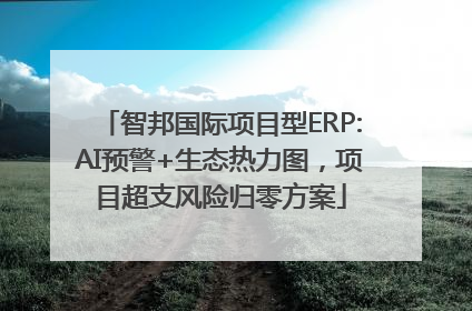 智邦国际项目型ERP:AI预警+生态热力图，项目超支风险归零方案