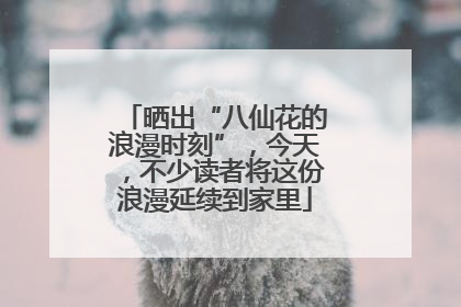 晒出“八仙花的浪漫时刻”，今天，不少读者将这份浪漫延续到家里
