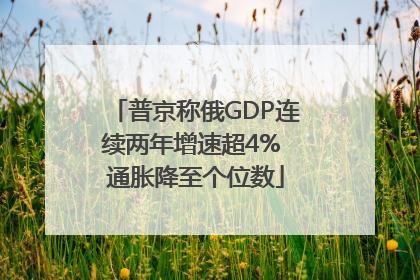 普京称俄GDP连续两年增速超4% 通胀降至个位数