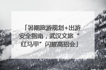 暑期旅游规划+出游安全指南，武汉文旅“红马甲”闪耀高招会