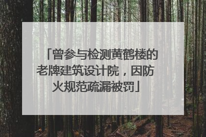 曾参与检测黄鹤楼的老牌建筑设计院，因防火规范疏漏被罚