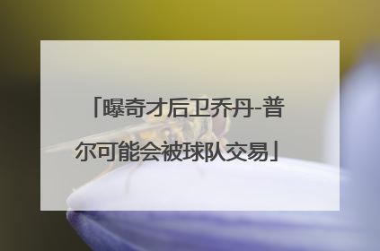 曝奇才后卫乔丹-普尔可能会被球队交易
