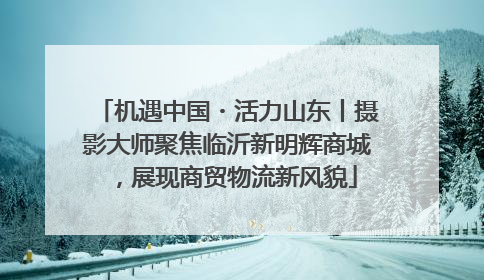 机遇中国・活力山东丨摄影大师聚焦临沂新明辉商城，展现商贸物流新风貌