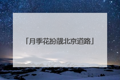 月季花扮靓北京道路