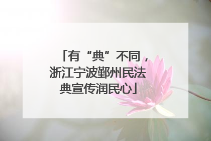 有“典”不同，浙江宁波鄞州民法典宣传润民心