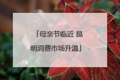 母亲节临近 昆明消费市场升温