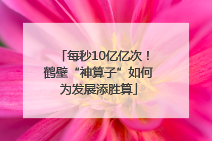 每秒10亿亿次！鹤壁“神算子”如何为发展添胜算
