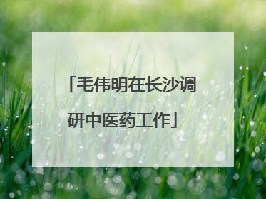 毛伟明在长沙调研中医药工作