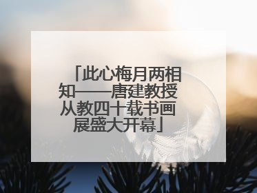 此心梅月两相知——唐建教授从教四十载书画展盛大开幕