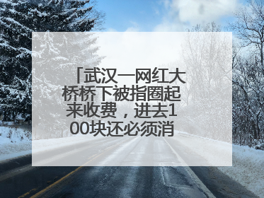 武汉一网红大桥桥下被指圈起来收费，进去100块还必须消费？当地回应