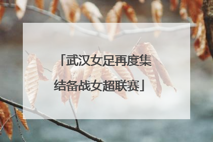 武汉女足再度集结备战女超联赛