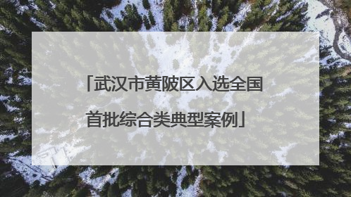 武汉市黄陂区入选全国首批综合类典型案例