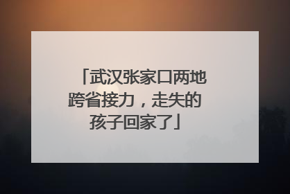 武汉张家口两地跨省接力，走失的孩子回家了