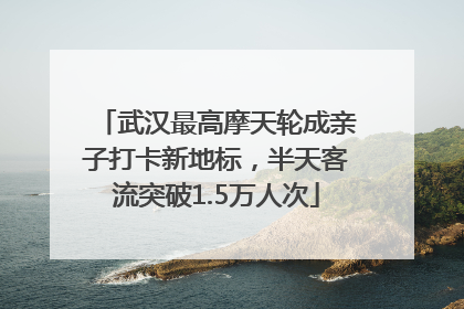 武汉最高摩天轮成亲子打卡新地标，半天客流突破1.5万人次