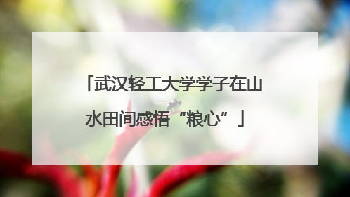 武汉轻工大学学子在山水田间感悟“粮心”