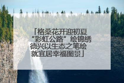 格桑花开迎初夏 “彩虹公路”绘锦绣 德兴以生态之笔绘就宜居幸福图景