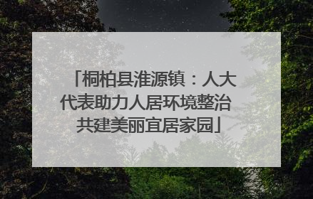 桐柏县淮源镇：人大代表助力人居环境整治 共建美丽宜居家园