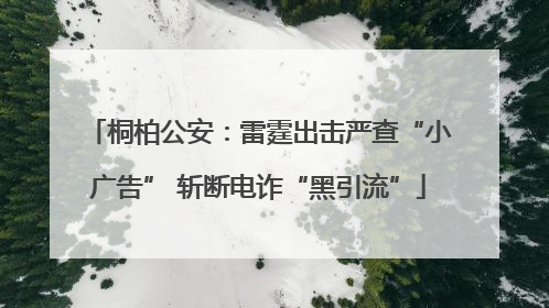 桐柏公安：雷霆出击严查“小广告” 斩断电诈“黑引流”