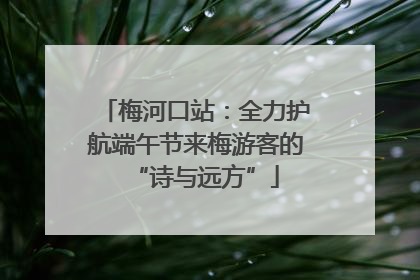 梅河口站：全力护航端午节来梅游客的“诗与远方”