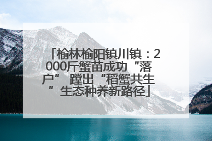 榆林榆阳镇川镇：2000斤蟹苗成功“落户” 蹚出“稻蟹共生”生态种养新路径