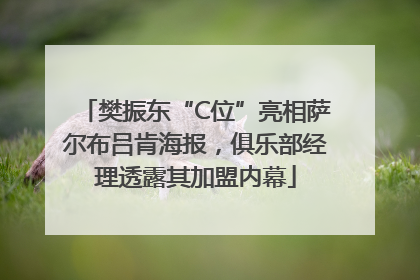 樊振东“C位”亮相萨尔布吕肯海报，俱乐部经理透露其加盟内幕