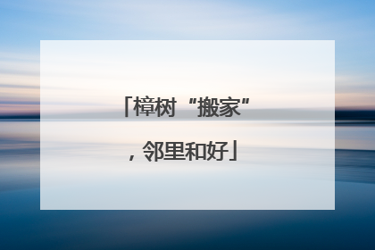 樟树“搬家”，邻里和好