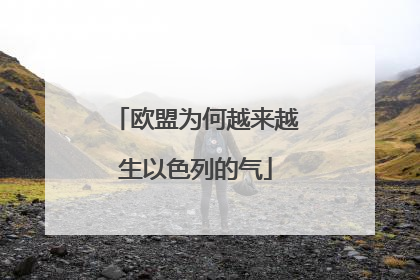 欧盟为何越来越生以色列的气