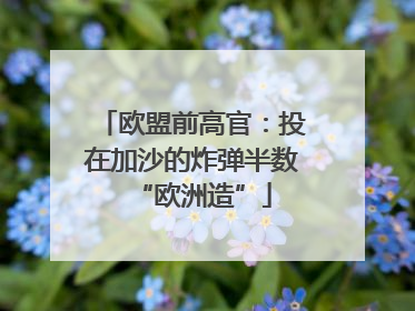 欧盟前高官：投在加沙的炸弹半数“欧洲造”