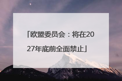 欧盟委员会：将在2027年底前全面禁止