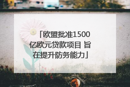 欧盟批准1500亿欧元贷款项目 旨在提升防务能力
