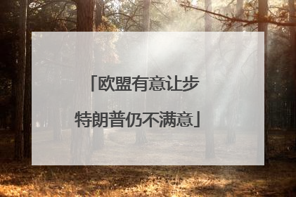 欧盟有意让步 特朗普仍不满意