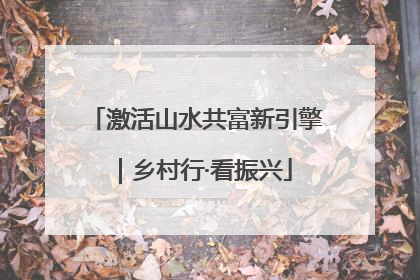 激活山水共富新引擎｜乡村行·看振兴