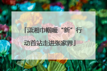 潇湘巾帼暖“新”行动首站走进张家界