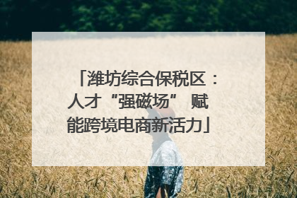 潍坊综合保税区：人才“强磁场” 赋能跨境电商新活力