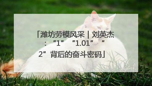 潍坊劳模风采｜刘英杰：“1”“1.01”“2”背后的奋斗密码