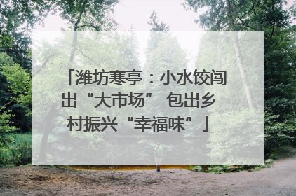 潍坊寒亭：小水饺闯出“大市场” 包出乡村振兴“幸福味”