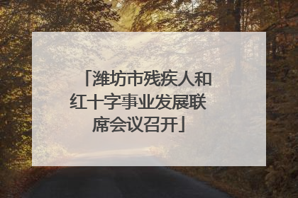 潍坊市残疾人和红十字事业发展联席会议召开