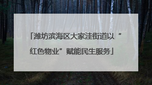 潍坊滨海区大家洼街道以“红色物业”赋能民生服务