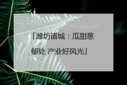潍坊诸城：瓜甜葱郁处 产业好风光