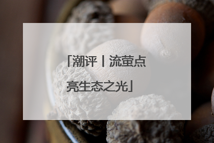 潮评丨流萤点亮生态之光