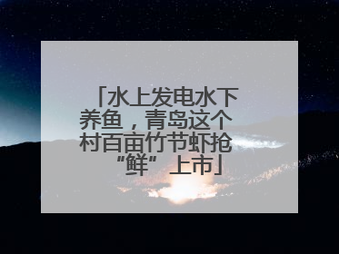 水上发电水下养鱼，青岛这个村百亩竹节虾抢“鲜”上市