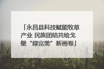 永昌县科技赋能牧草产业 民族团结共绘戈壁“绿富美”新画卷