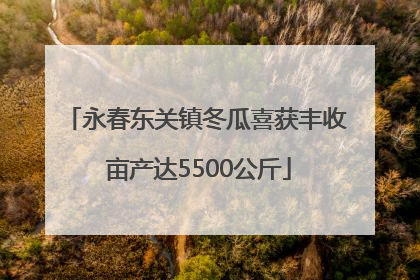 永春东关镇冬瓜喜获丰收 亩产达5500公斤