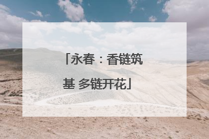 永春：香链筑基 多链开花
