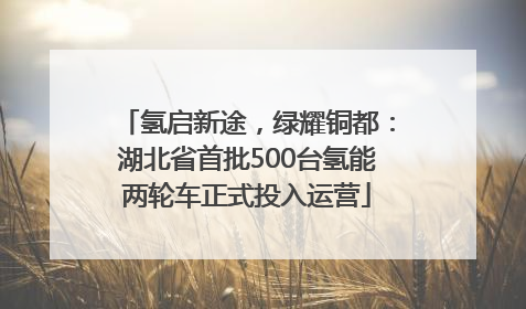 氢启新途，绿耀铜都：湖北省首批500台氢能两轮车正式投入运营