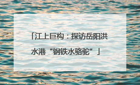 江上巨构：探访岳阳洪水港“钢铁水骆驼”