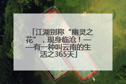江湖别称“幽灵之花”，现身临沧！——有一种叫云南的生活之365天