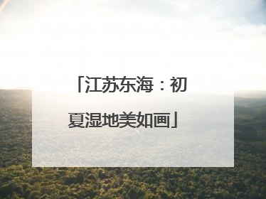江苏东海：初夏湿地美如画