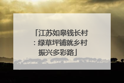 江苏如皋钱长村：绿草坪铺就乡村振兴多彩路