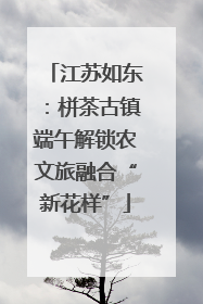 江苏如东：栟茶古镇端午解锁农文旅融合“新花样”
